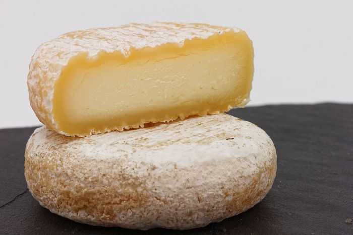 Credit: https://fr.wikipedia.org/wiki/Picodon