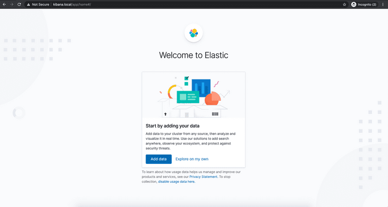 Screenshot of the Elastic Dashboard