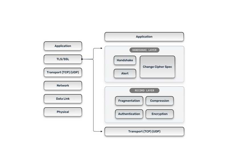 tls and the osi model
