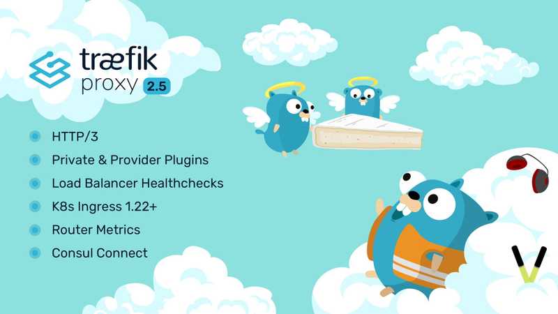 Announcing Traefik Proxy 2.5